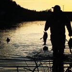 New Zealand Duck Hunting on Water