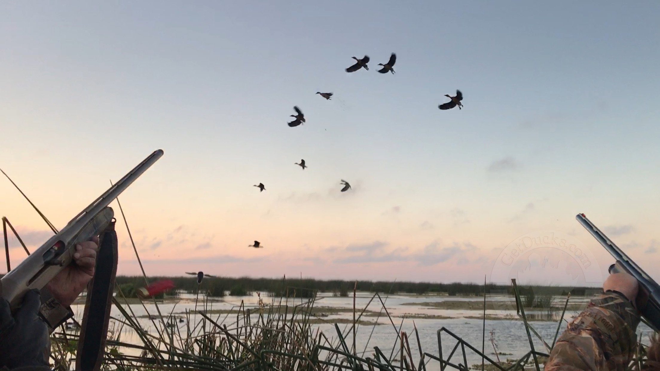 Argentina Duck Hunting Ramsey Russell's