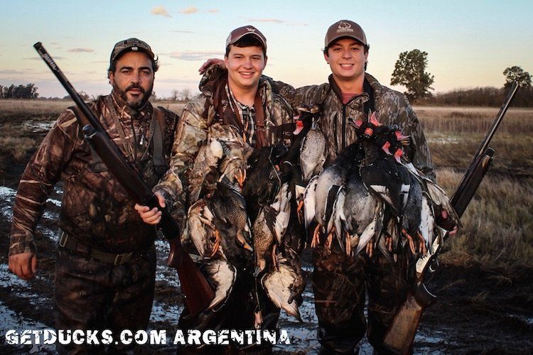 Argentina Duck Hunting Species