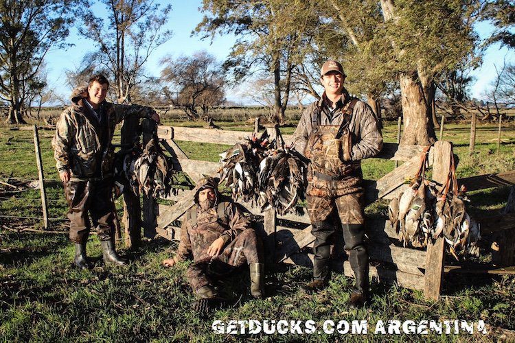 Top Guided Argentina Duck Hunting