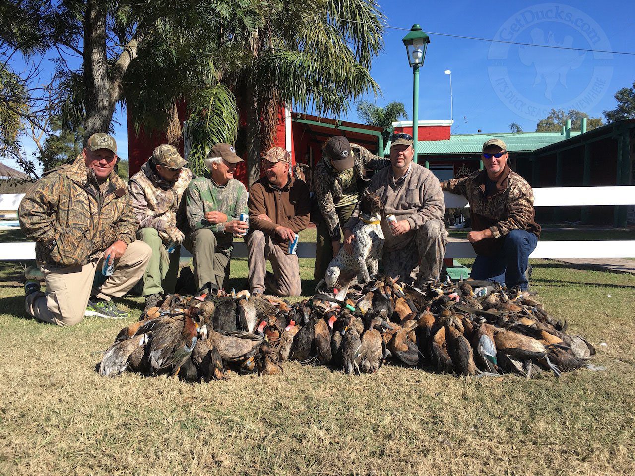 argentina duck hunting rio salado