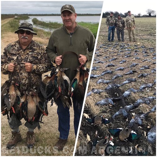 argentina duck hunting combo