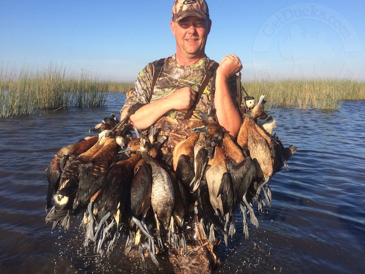 argentina duck hunts
