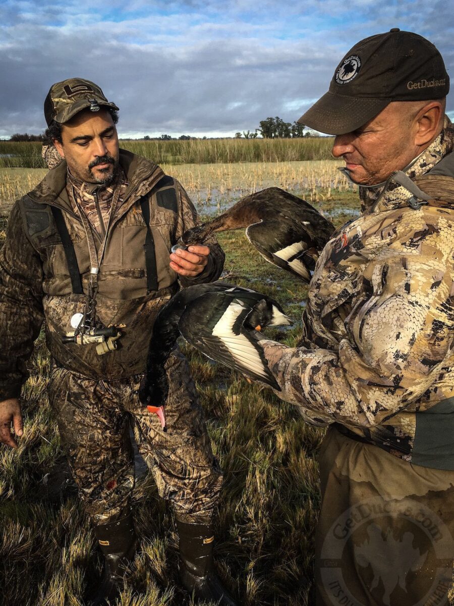 Las Flores Argentina Duck Hunting Trips