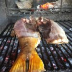 Rio Salado Argentina Duck Hunting Recipes