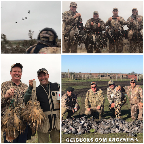 duck and dove hunting argentina