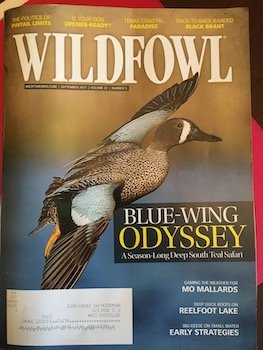 bluewinged teal hunting guides