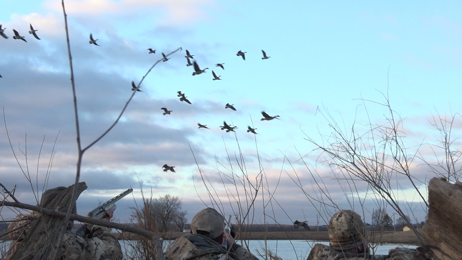 Kansas Goose Hunting Ramsey Russell's