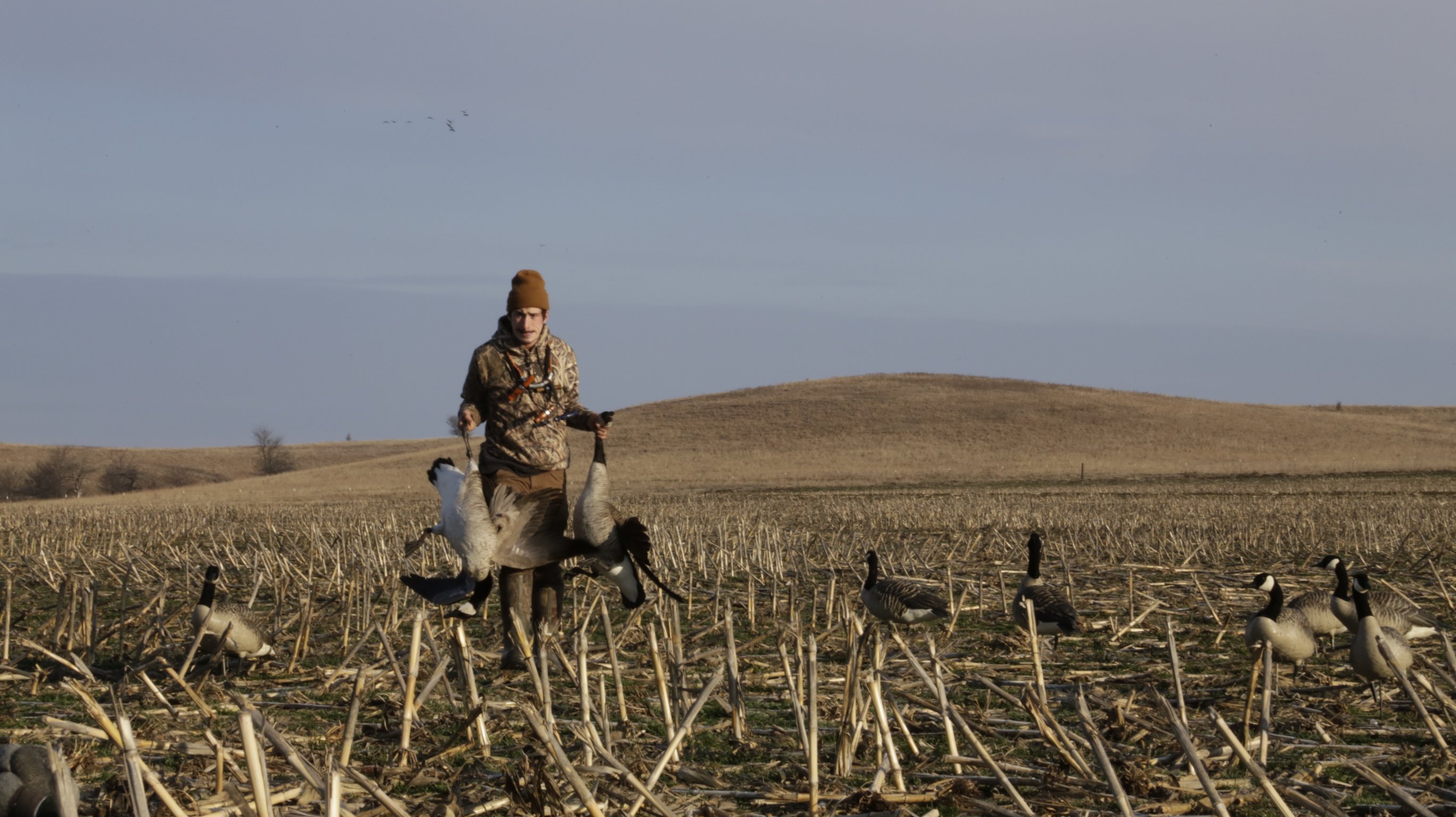 kansas goose hunting 7189 Ramsey Russell's