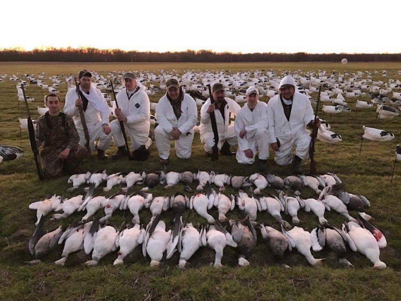 arkansas spring snow goose hunting