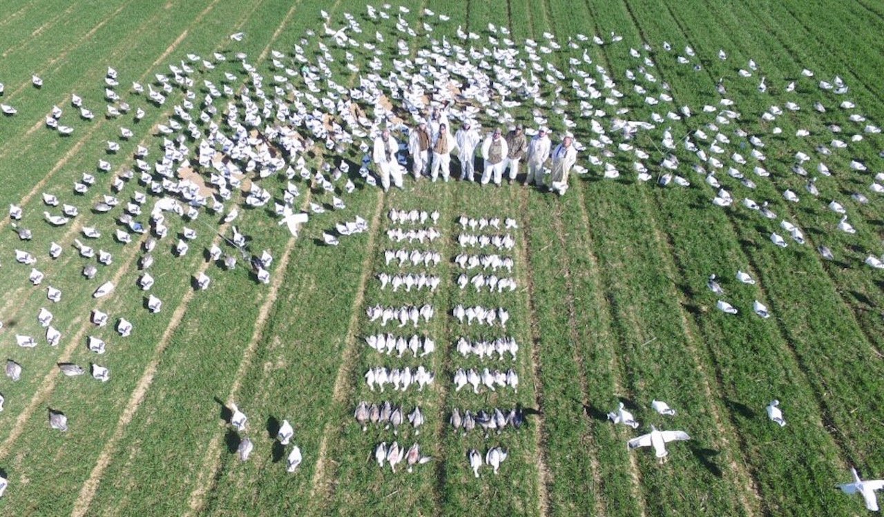 arkansas spring snow goose hunting