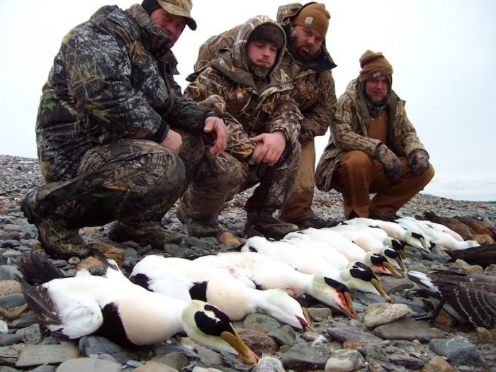 Best Guided Sea Duck Hunts New England