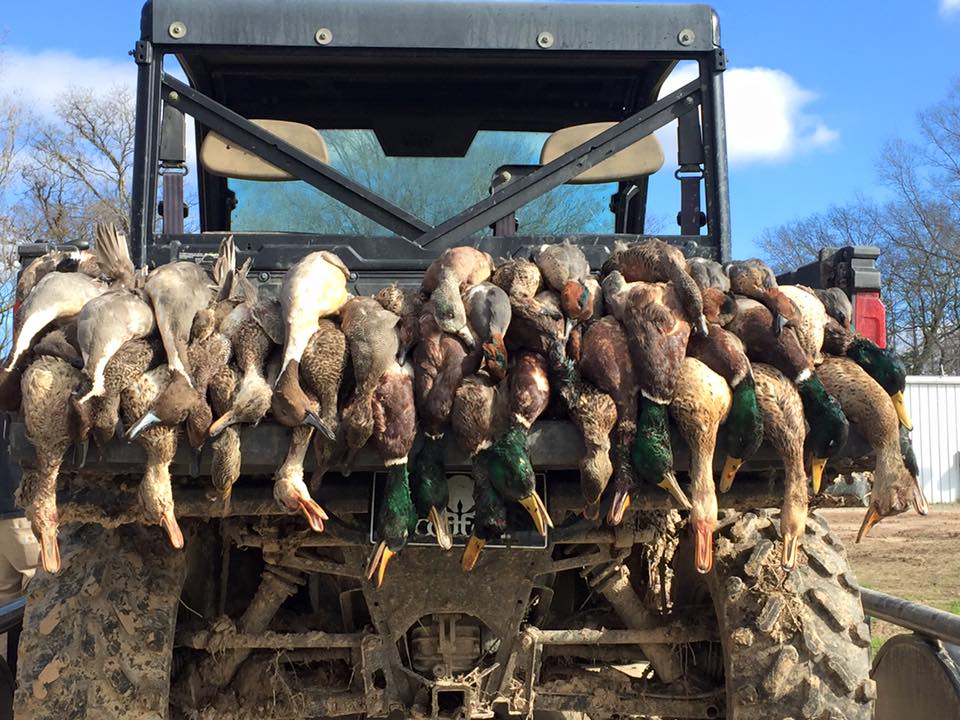 Arkansas Duck Hunting Ramsey Russell's