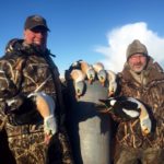 Alaska King Eider Hunting