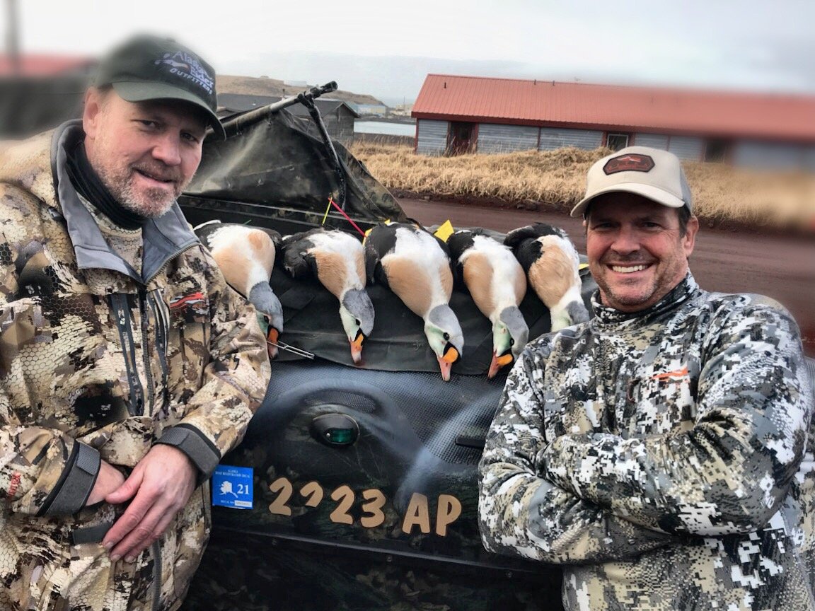 alaska king eider hunt