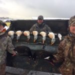 Best Alaska King Eider Hunting