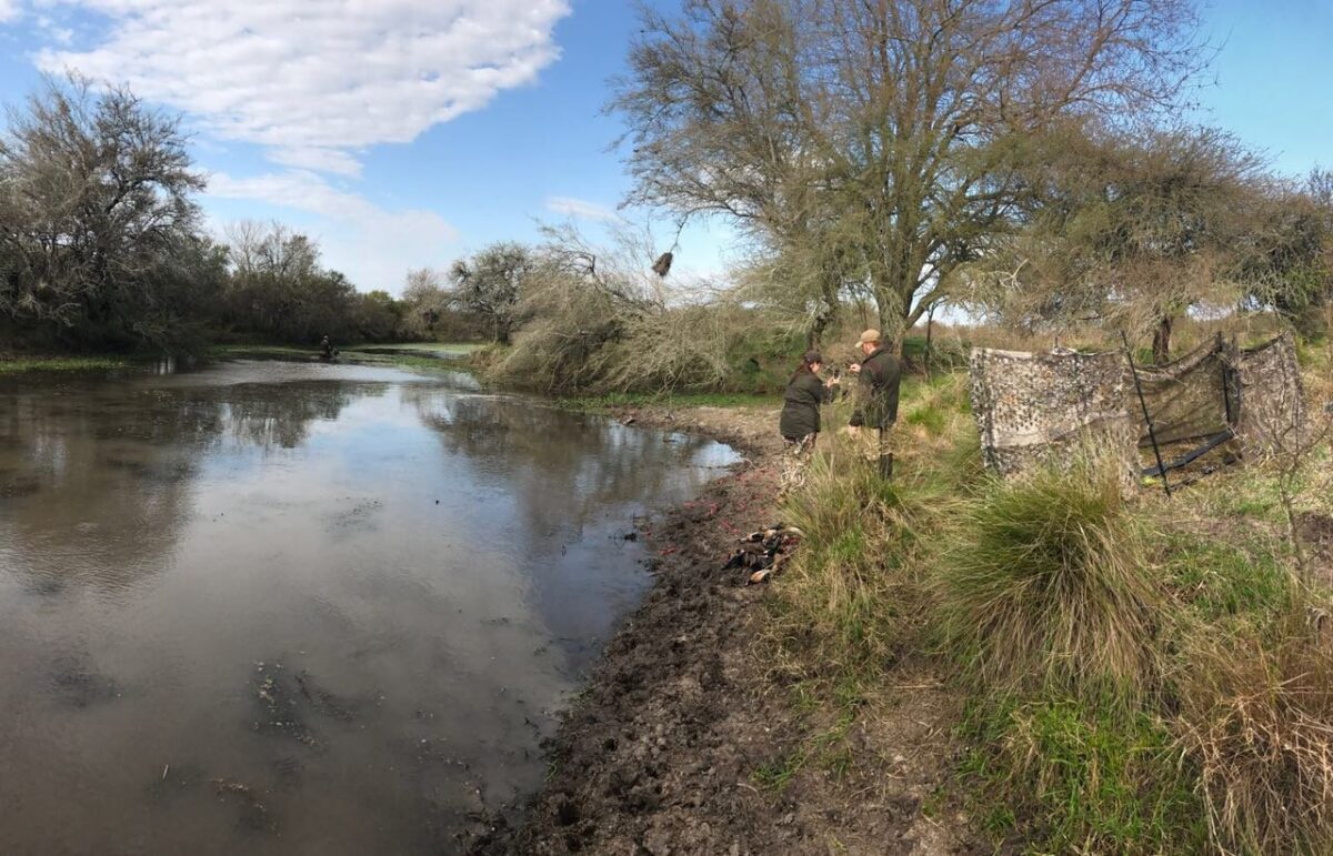 blinds for Los Ceibos Argetina Duck Hunting