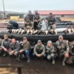 King Eider Hunting Alaska