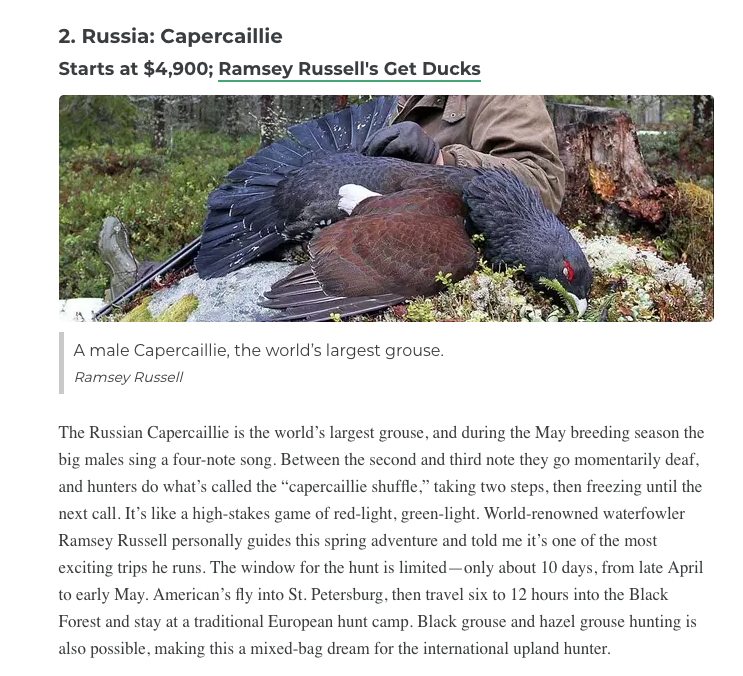 Russia capercaillie hunting