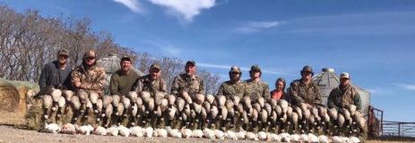 Texas Duck Hunting – North