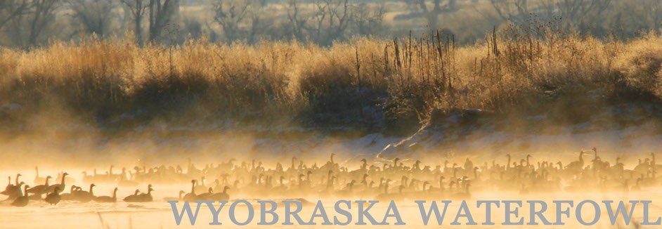 Wyoming Waterfowl Hunting
