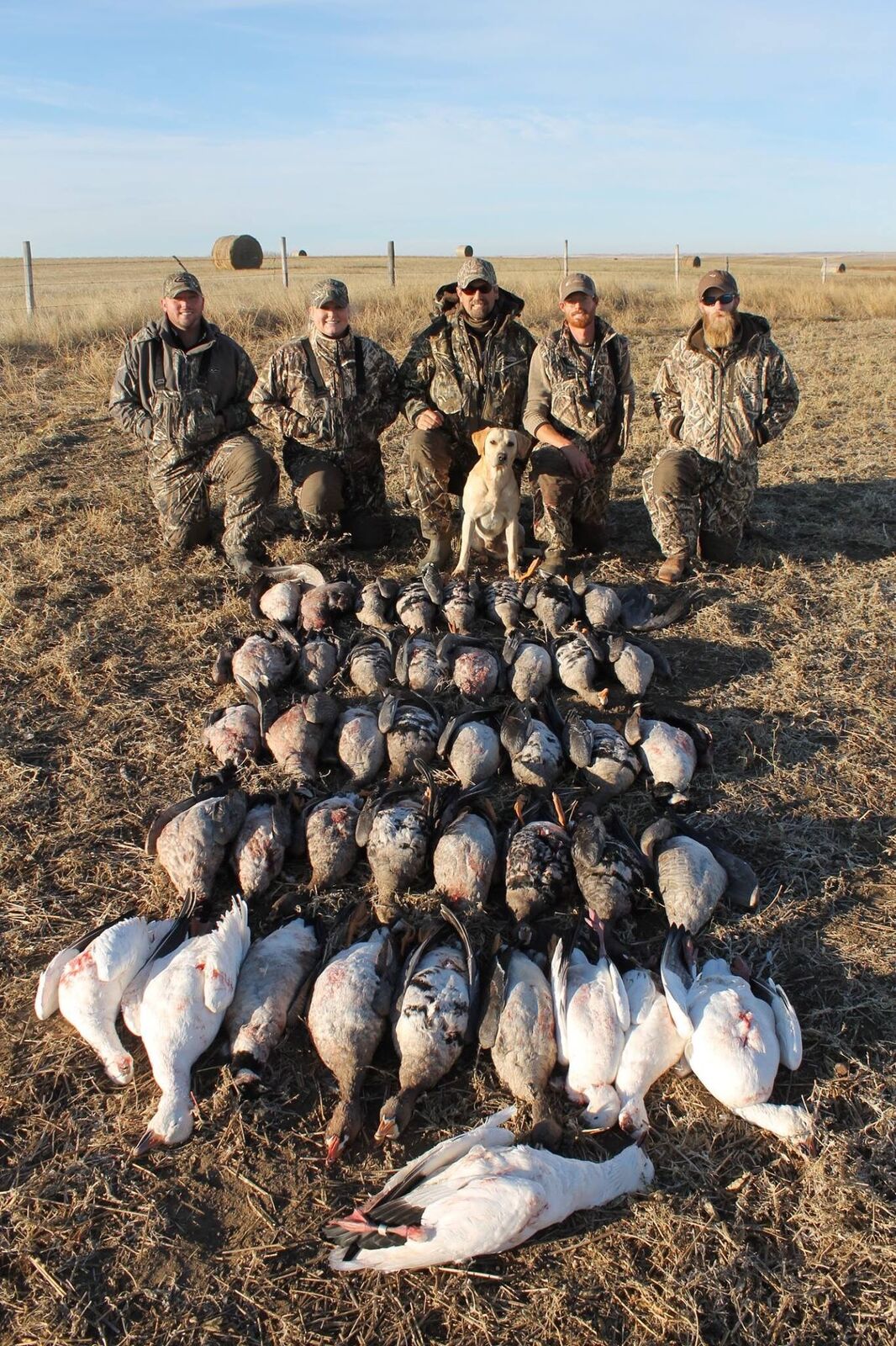 albertacanadagoosehunting 21 Ramsey Russell's
