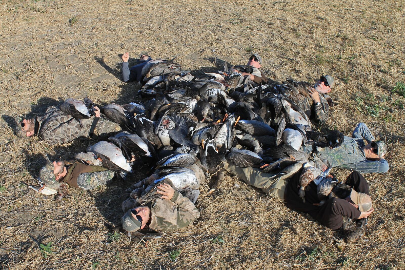 Alberta Canada Duck and Goose Hunting Ramsey Russell's
