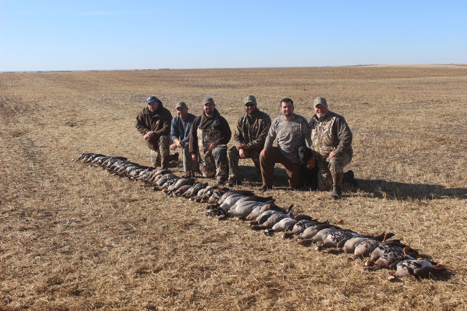 Alberta Canada Duck and Goose Hunting Ramsey Russell's