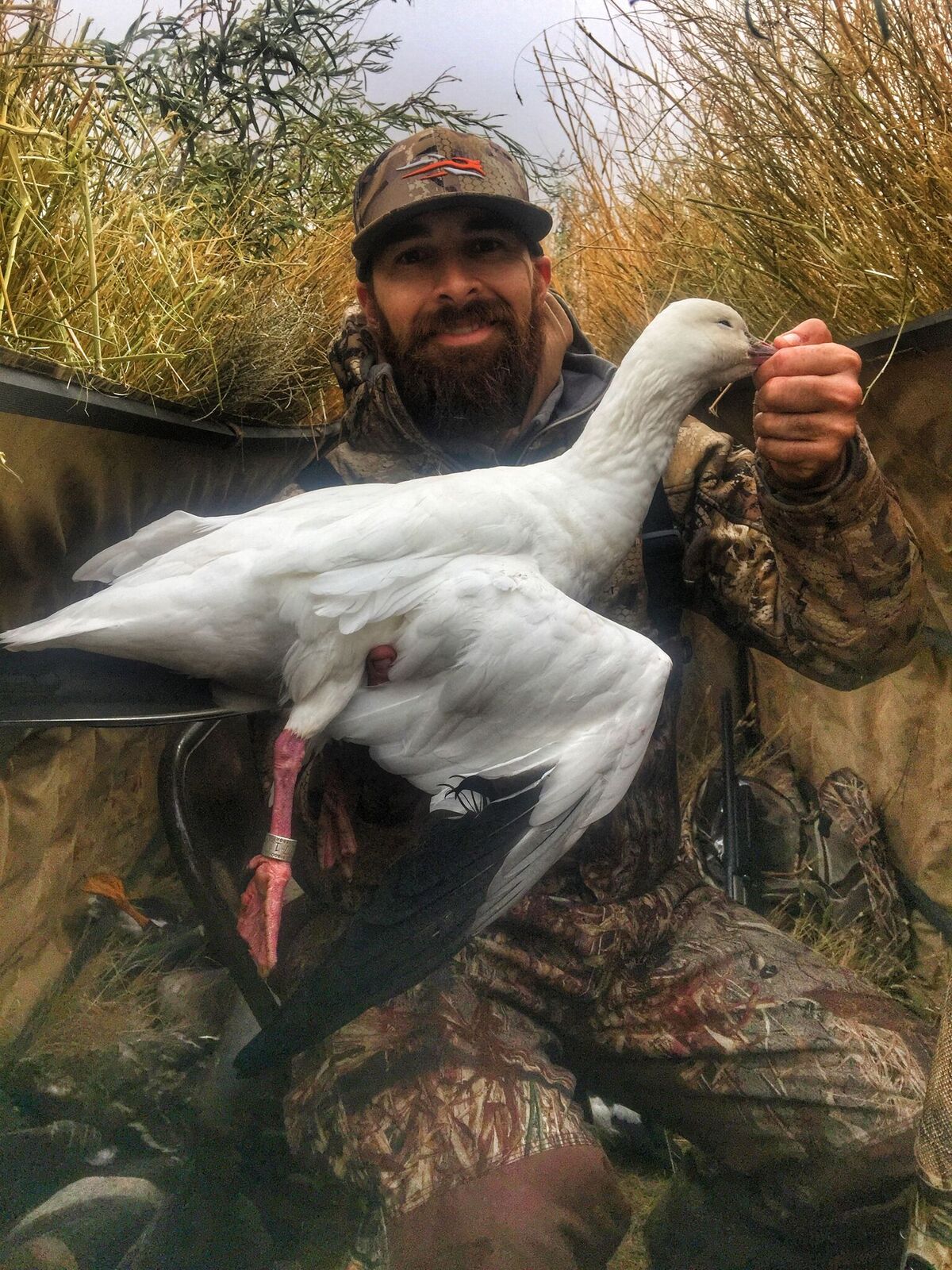 Alberta Canada Duck and Goose Hunting Ramsey Russell's