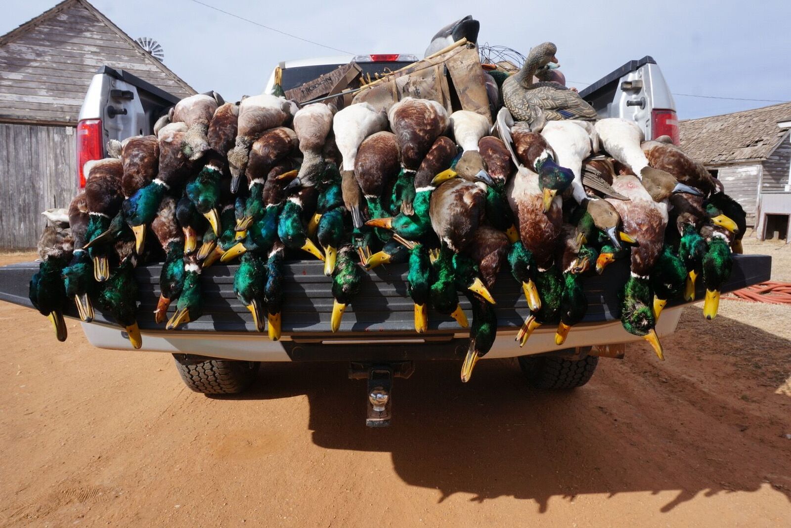 OKLAHOMA DUCK HUNTING - Ramsey Russell's GetDucks.com