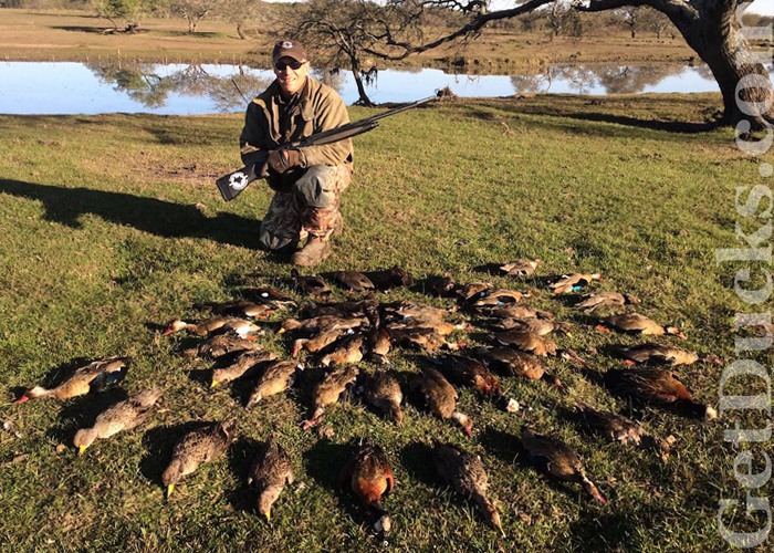 Argentina Hunting Waterfowl