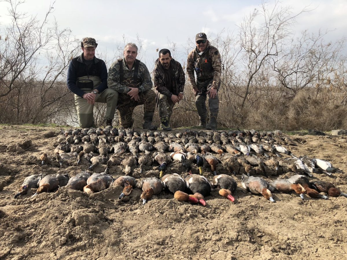 AZERBAIJAN DUCK HUNTING TIPS