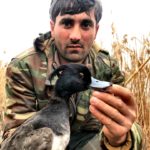BEST AZERBAIJAN DUCK HUNTING GUIDES
