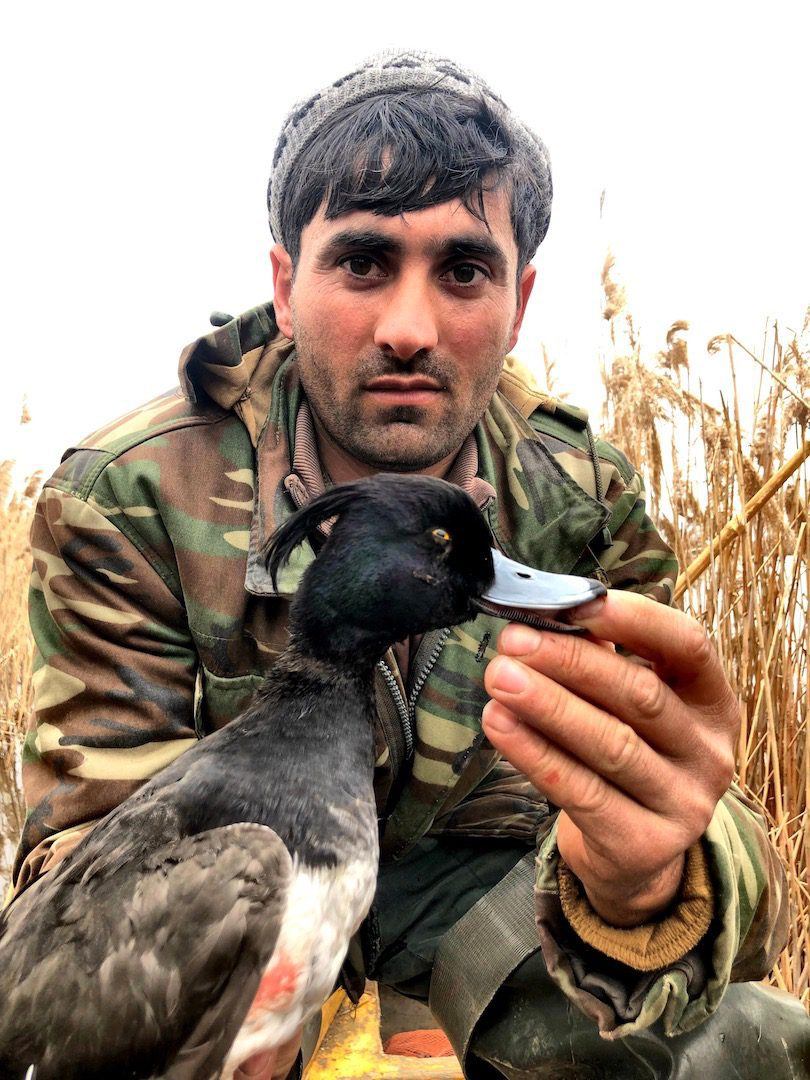 BEST AZERBAIJAN DUCK HUNTING GUIDES