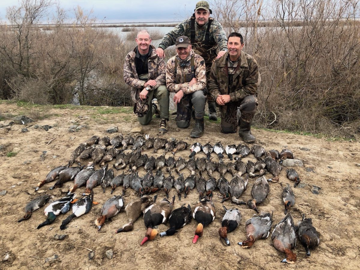 AZERBAIJAN DUCK HUNTING NUMBERS