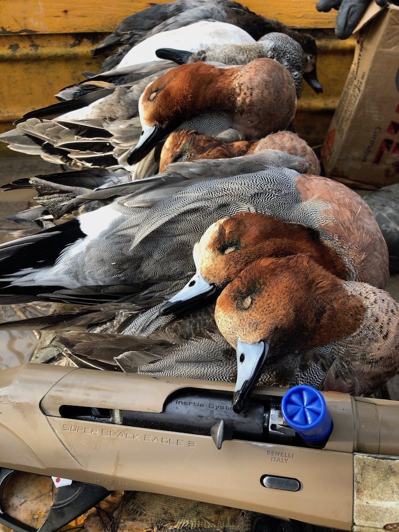 AZERBAIJAN DUCK HUNTING TRIPS