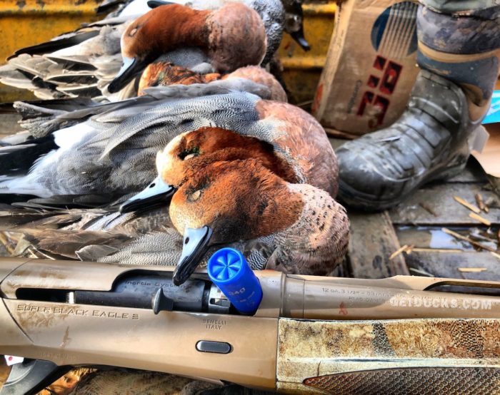 fake duck Wholesale For Your Hunting Expedition 