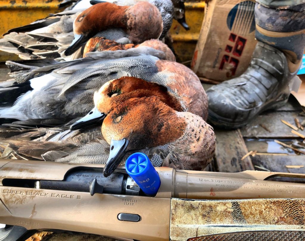 AZERBAIJAN DUCK HUNTING