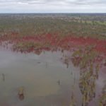 AUSTRALIA DUCK HUNTING TOURS