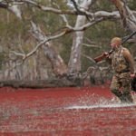DUCK HUNTING AUSTRALIA