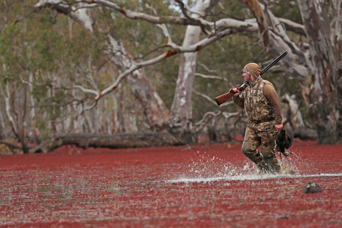 DUCK HUNTING AUSTRALIA