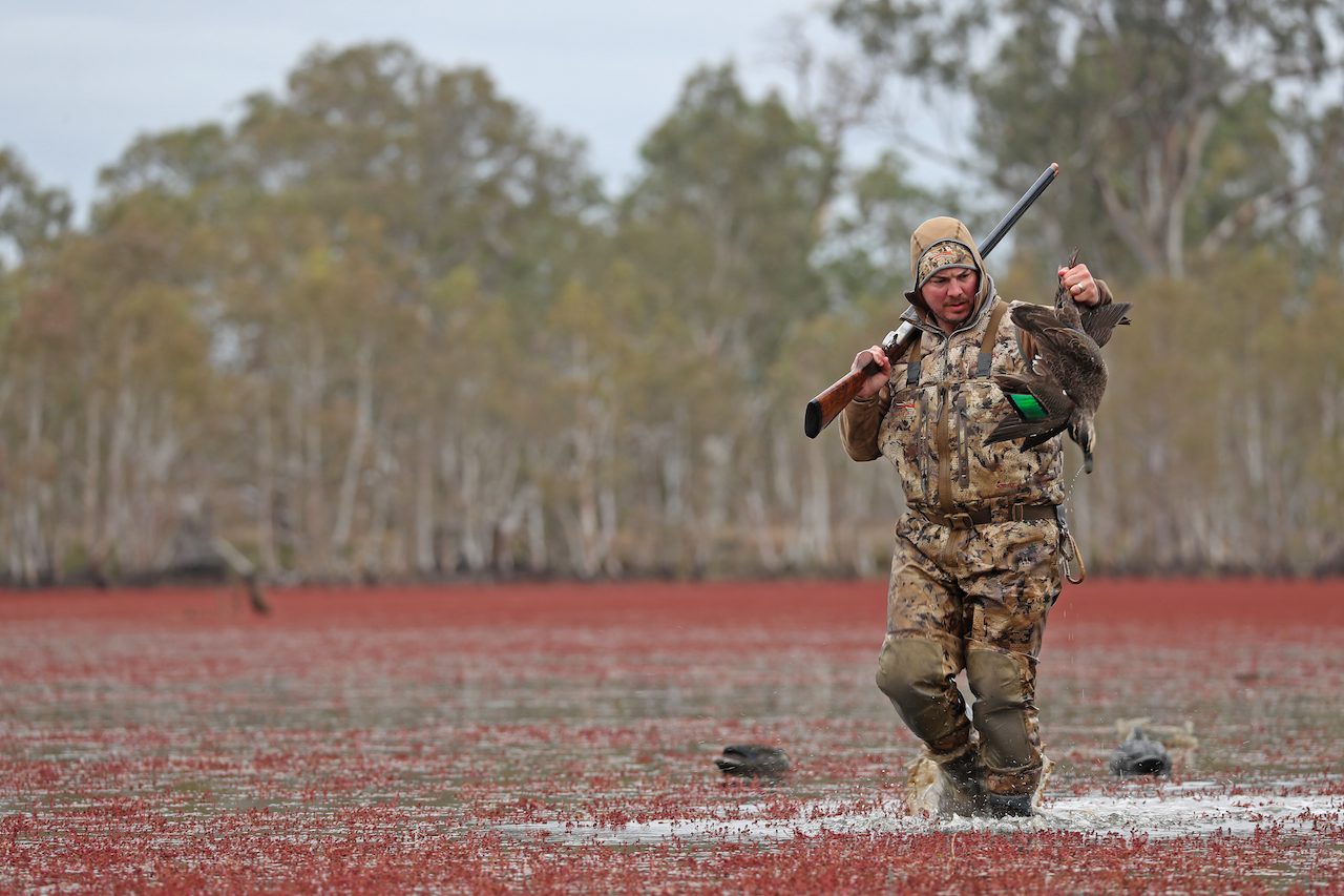 Duck Hunting Australia Ramsey Russell's