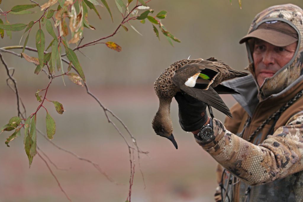 AUSTRALIA DUCK HUNTING TIPS