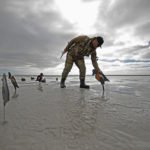 AUSTRALIA DUCK HUNTING DECOYS