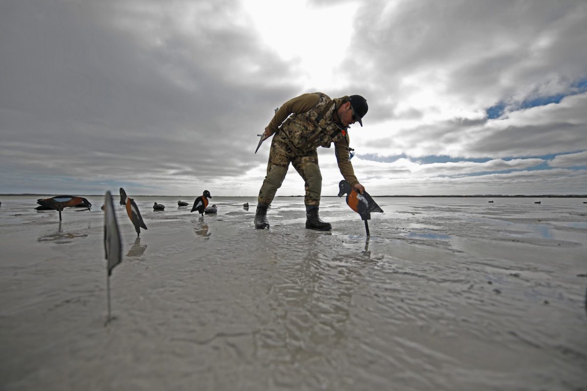 AUSTRALIA DUCK HUNTING DECOYS