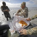 TOP AUSTRALIA DUCK HUNTING TOURS