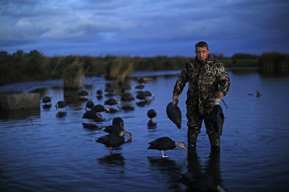 AUSTRALIA DUCK HUNTING WATER