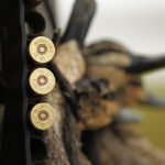 AUSTRALIA DUCK HUNTING METHODS