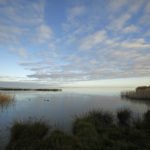 AUSTRALIA DUCK HUNTING SCENES