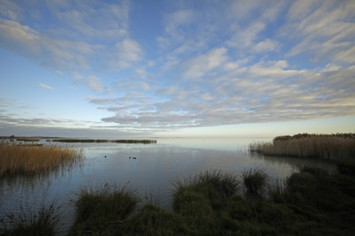 AUSTRALIA DUCK HUNTING SCENES